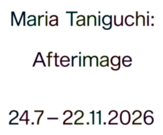 Maria Taniguchi: Afterimage